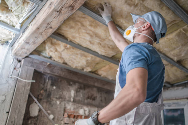 Best Specialized Insulation Services in Grantsburg, WI